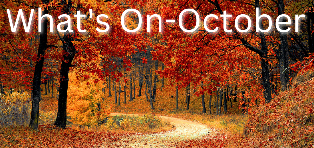 What's On - October 2024